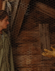 TheStoneAngel_28129.JPG