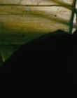 2008_-_Fifty_Dead_Men_Walking_mp43213.jpg