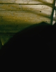 Filename=2008_-_Fifty_Dead_Men_Walking_mp43214.jpg
Filesize=534KiB
Dimensions=1920x816
Date added=Dec 29, 2023 2008_-_Fifty_Dead_Men_Walking_mp43214.jpg