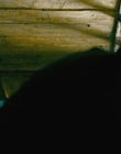 Filename=2008_-_Fifty_Dead_Men_Walking_mp43215.jpg
Filesize=540KiB
Dimensions=1920x816
Date added=Dec 29, 2023 2008_-_Fifty_Dead_Men_Walking_mp43215.jpg