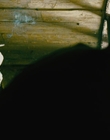 Filename=2008_-_Fifty_Dead_Men_Walking_mp43219.jpg
Filesize=554KiB
Dimensions=1920x816
Date added=Dec 29, 2023 2008_-_Fifty_Dead_Men_Walking_mp43219.jpg