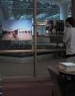 2008_-_The_Narrows_mp40886.jpg