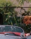 2009_-_Perfect_Age_of_Rock_n_Roll_mkv4099.jpg