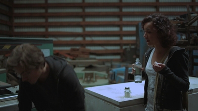 2011_-_Vampire_mp40929.jpg