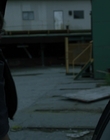 2011_-_Vampire_mp41284.jpg