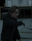 2011_-_Vampire_mp41286.jpg