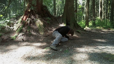 2011_-_Vampire_mp43668.jpg