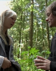 2011_-_Vampire_mp43852.jpg