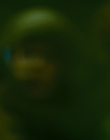 Filename=2013_-_The_Colony_mp43848.jpg
Filesize=541KiB
Dimensions=1920x816
Date added=Apr 18, 2024 2013_-_The_Colony_mp43848.jpg