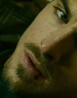 2013_-_The_Colony_mp44028.jpg