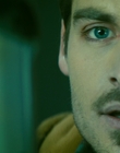 2013_-_The_Colony_mp44164.jpg