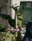 Filename=The_Rookie_Feds_S01E01_mp40808.jpg
Filesize=1021KiB
Dimensions=1920x1080
Date added=Jan 02, 2024 The_Rookie_Feds_S01E01_mp40808.jpg