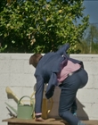 Filename=The_Rookie_Feds_S01E01_mp40813.jpg
Filesize=1029KiB
Dimensions=1920x1080
Date added=Jan 02, 2024 The_Rookie_Feds_S01E01_mp40813.jpg