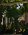 Filename=The_Rookie_Feds_S01E02_mp44865.jpg
Filesize=899KiB
Dimensions=1920x1080
Date added=Jan 02, 2024 The_Rookie_Feds_S01E02_mp44865.jpg