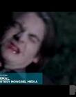mtvlive07_004.JPG