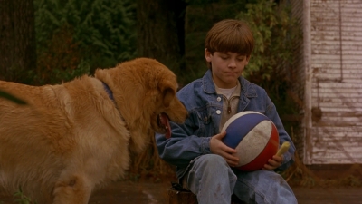 1997_-_Air_Bud_mp42642.jpg