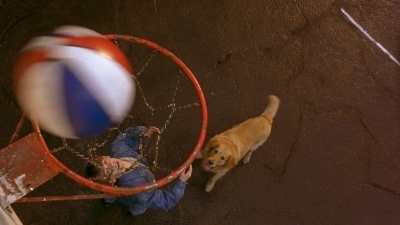 1997_-_Air_Bud_mp42692.jpg