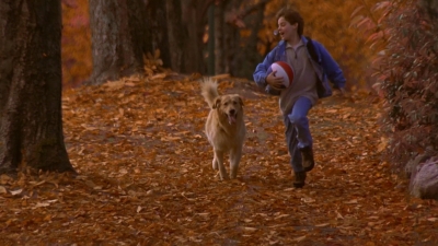 1997_-_Air_Bud_mp43686.jpg