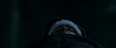 2010_-_Frozen_mp42331.jpg