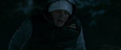 2010_-_Frozen_mp42391.jpg