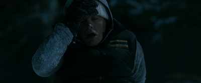 2010_-_Frozen_mp42417.jpg