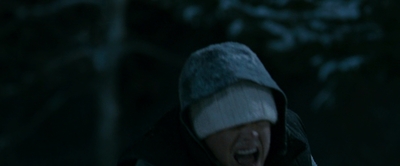 2010_-_Frozen_mp42437.jpg