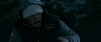 2010_-_Frozen_mp42484.jpg