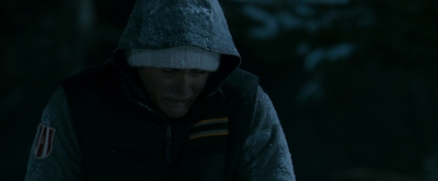 2010_-_Frozen_mp42633.jpg