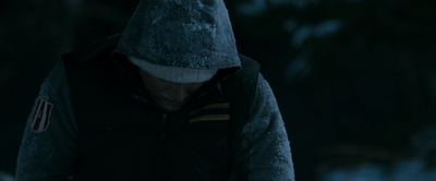 2010_-_Frozen_mp42635.jpg