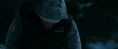 2010_-_Frozen_mp42637.jpg
