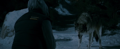 2010_-_Frozen_mp42731.jpg