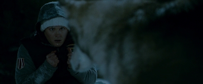 2010_-_Frozen_mp42750.jpg