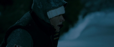 2010_-_Frozen_mp42767.jpg
