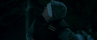 2010_-_Frozen_mp42783.jpg
