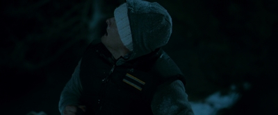2010_-_Frozen_mp42790.jpg