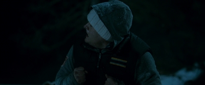 2010_-_Frozen_mp42846.jpg
