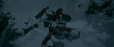 2010_-_Frozen_mp42948.jpg