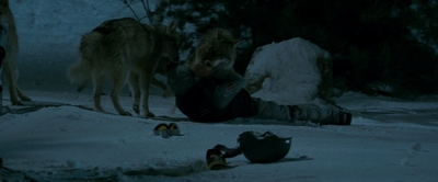 2010_-_Frozen_mp42949.jpg