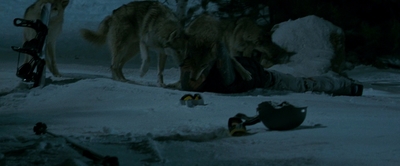 2010_-_Frozen_mp42950.jpg