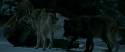 2010_-_Frozen_mp42956.jpg