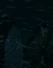 Filename=2010_-_Frozen_mp41901.jpg
Filesize=630KiB
Dimensions=1920x800
Date added=Jan 02, 2024 2010_-_Frozen_mp41901.jpg