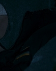 2010_-_Frozen_mp42184.jpg