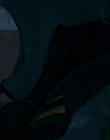 2010_-_Frozen_mp42194.jpg