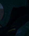 2010_-_Frozen_mp42197.jpg