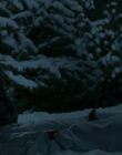 2010_-_Frozen_mp42368.jpg