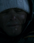 2010_-_Frozen_mp42374.jpg