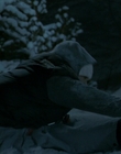 2010_-_Frozen_mp42429.jpg
