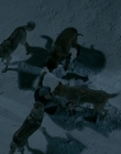 Filename=2010_-_Frozen_mp42948.jpg
Filesize=768KiB
Dimensions=1920x800
Date added=Jan 02, 2024 2010_-_Frozen_mp42948.jpg