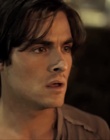 cap02351.jpg