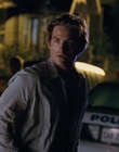 2011_-_The_Entitled_mp44907.jpg
